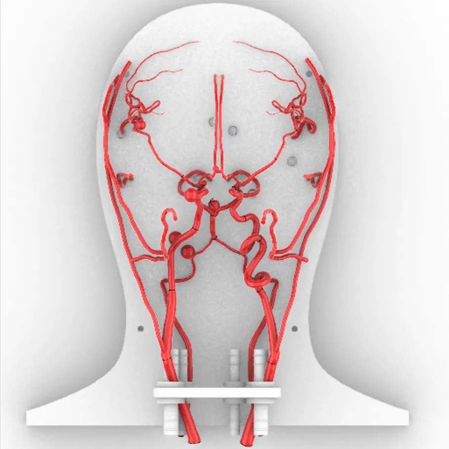 ICA001 cerebral artery intervention simulation model for neuro-interventional training, by Zlinemed