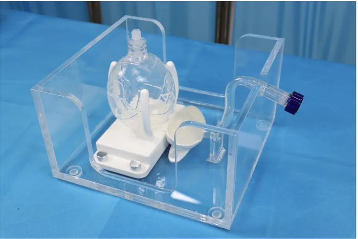 US-P001 prostate training simulator for urological endoscopy training, by Zlinemed