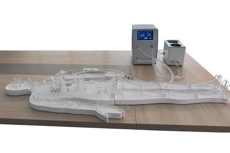 Full-body silicone vascular training platform with pulsatile pump system