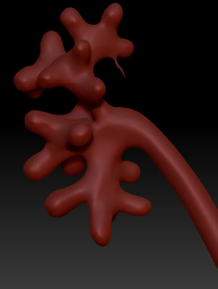 US-M001 male urinary system model for cystoscopy and lithotripsy training, by Zlinemed