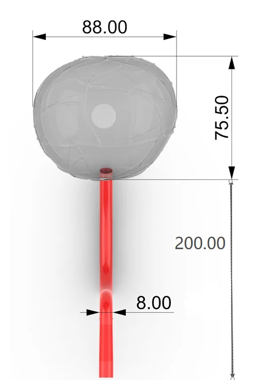 Anatomical rendering of the US-P001 prostate simulation model