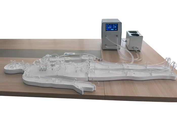 Full-body silicone vascular model with high-capacity pulsatile pump system